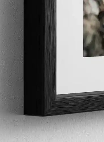 Frames Detail